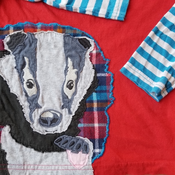 2015 vguc Mini Boden 4-5 years badger long-sleeve tee VIBRANT! - Picture 3 of 5